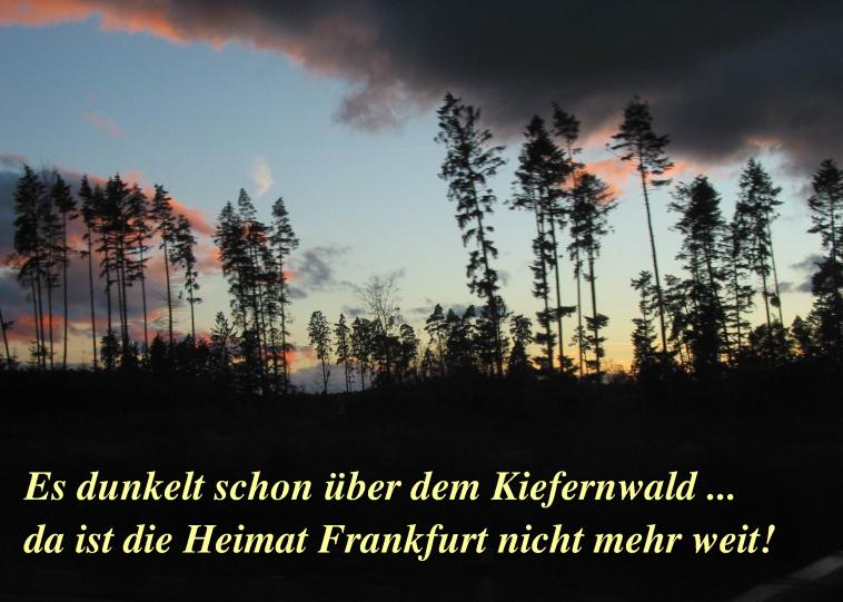 Reise2005_Bild-71.jpg